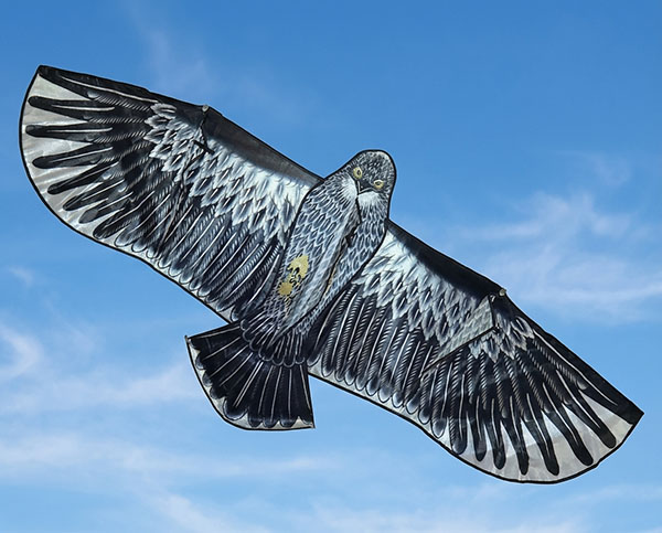 Визуальный отпугиватель птиц Кондор-180 копирует особенности хищных птиц